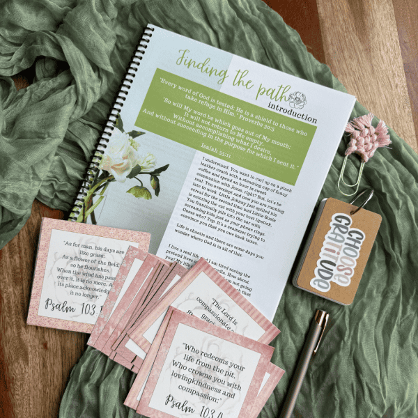 Bundle-Praying Scripture Bible study