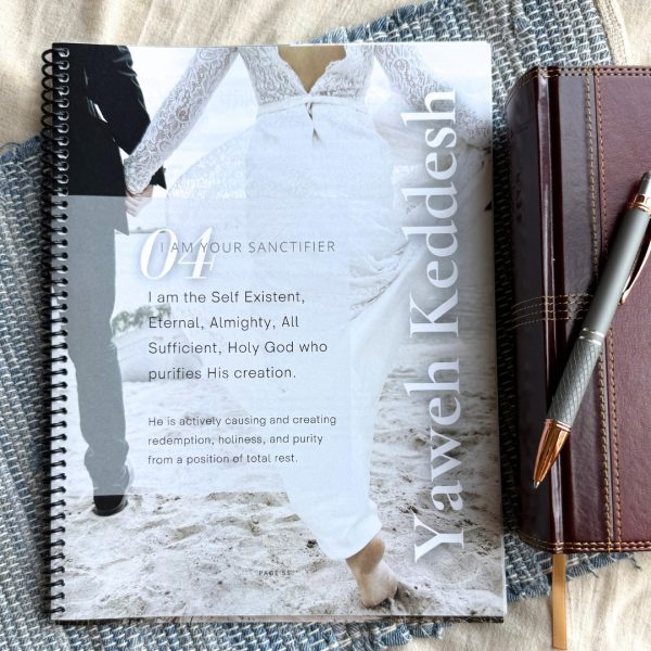 The Great I Am Bible Study by Sheryl Aeschliman