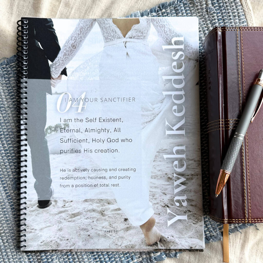 The Great I Am Bible Study by Sheryl Aeschliman