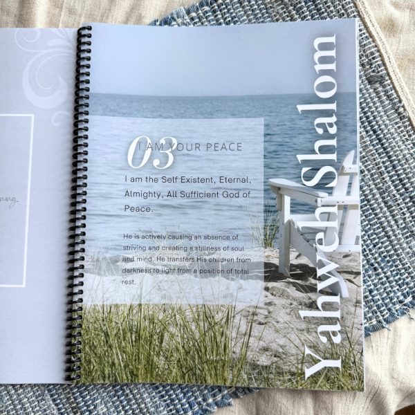 The Great I Am Bible Study by Sheryl Aeschliman