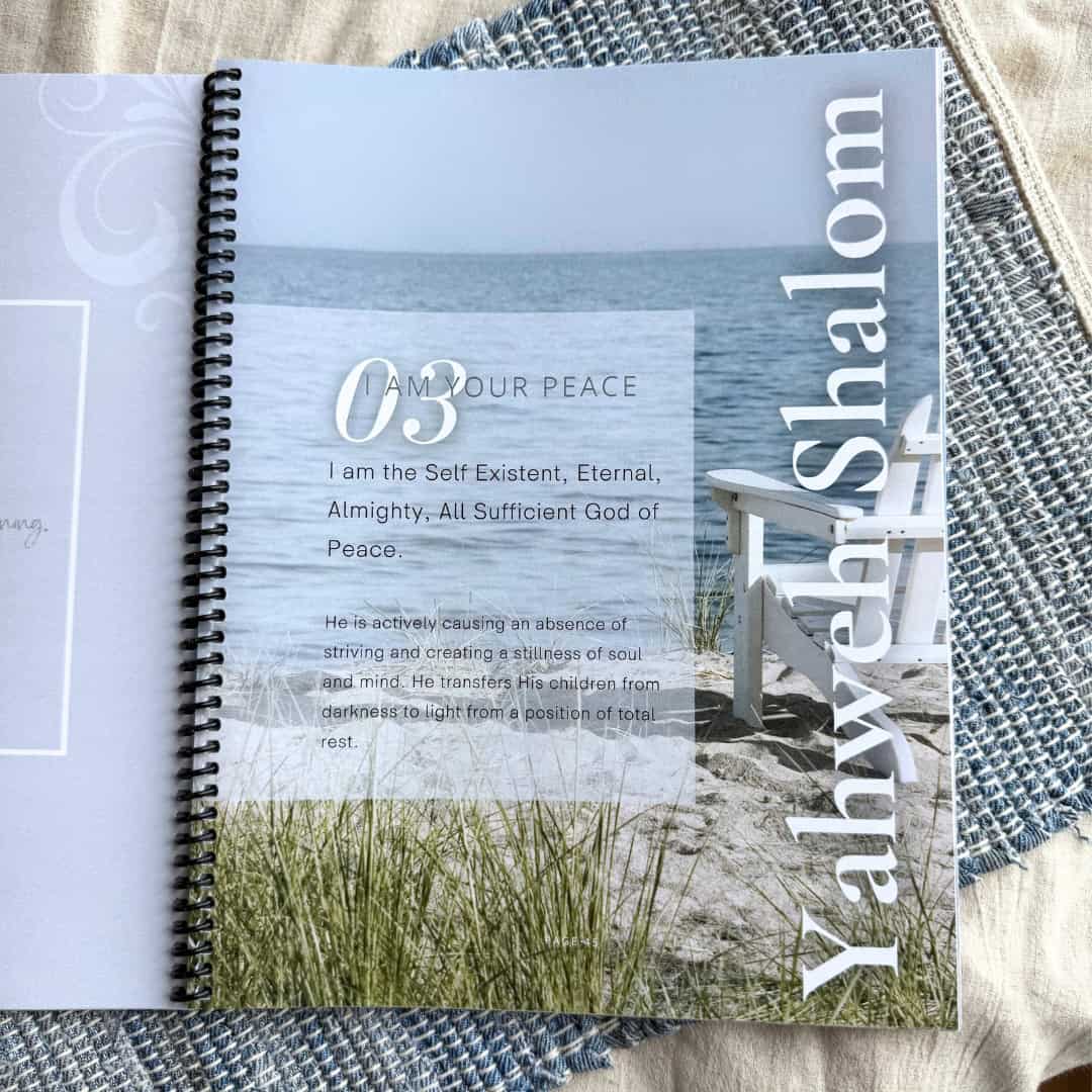 The Great I Am Bible Study by Sheryl Aeschliman