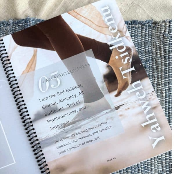 The Great I Am Bible Study by Sheryl Aeschliman