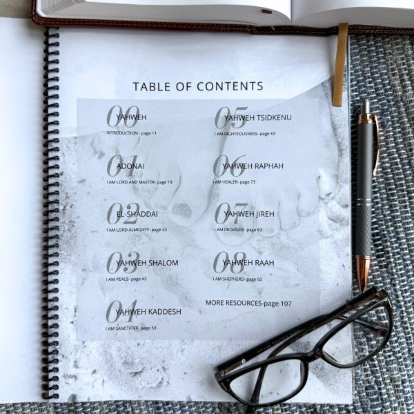 The Great I Am Bible Study by Sheryl Aeschliman