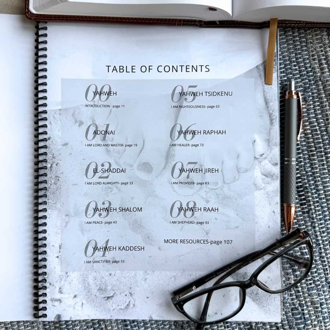 The Great I Am Bible Study by Sheryl Aeschliman