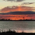 simply color testimonial